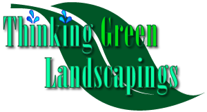 Thinking Green Landscaping